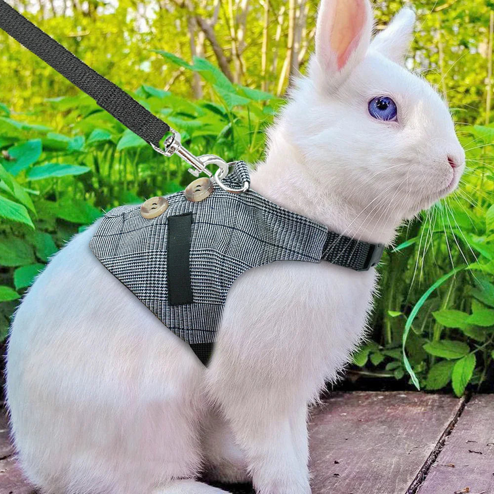 Rabbit leash rabbit dress - Mooth Shop