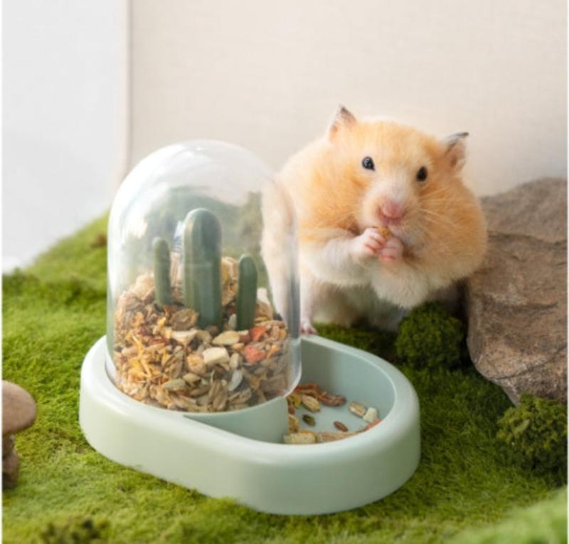 Home Hamster Creative Cactus Automatic Feeder - Mooth Shop