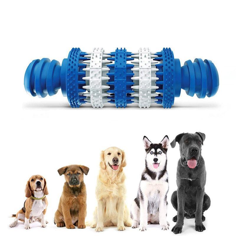 Dog Rubber Teeth Cleaning - Mooth Shop
