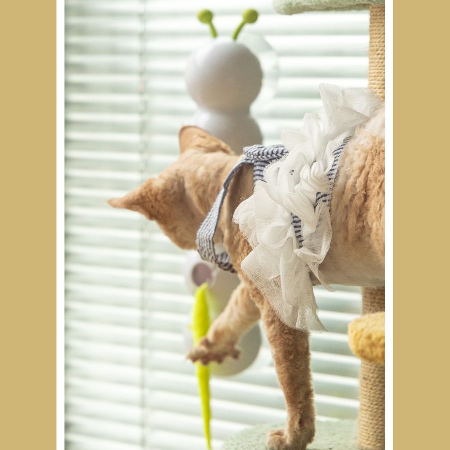 Juguete Interactivo Para Gatos