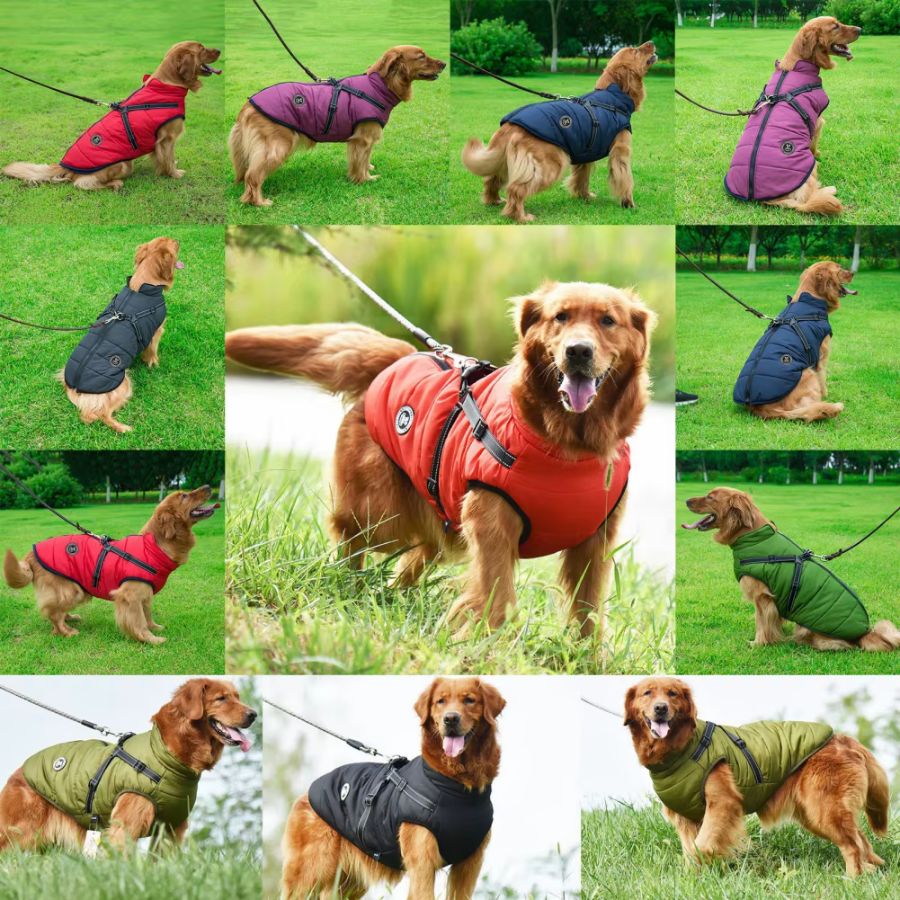 Chaleco Cálido Impermeable Para Perros