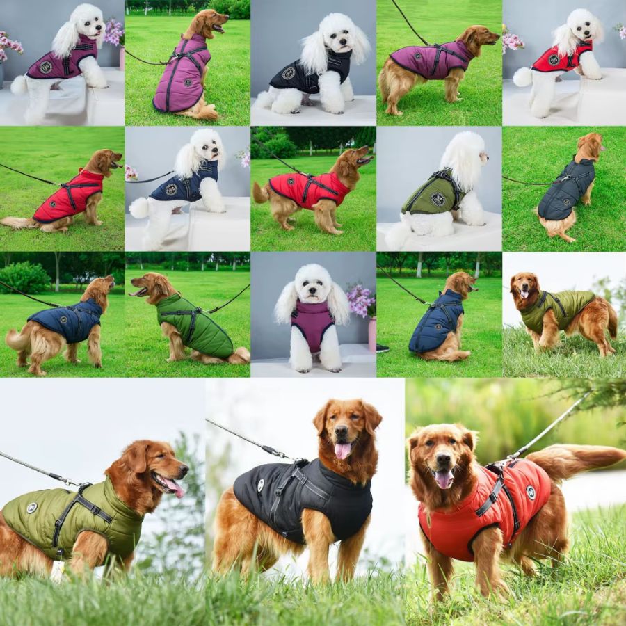 Chaleco Cálido Impermeable Para Perros