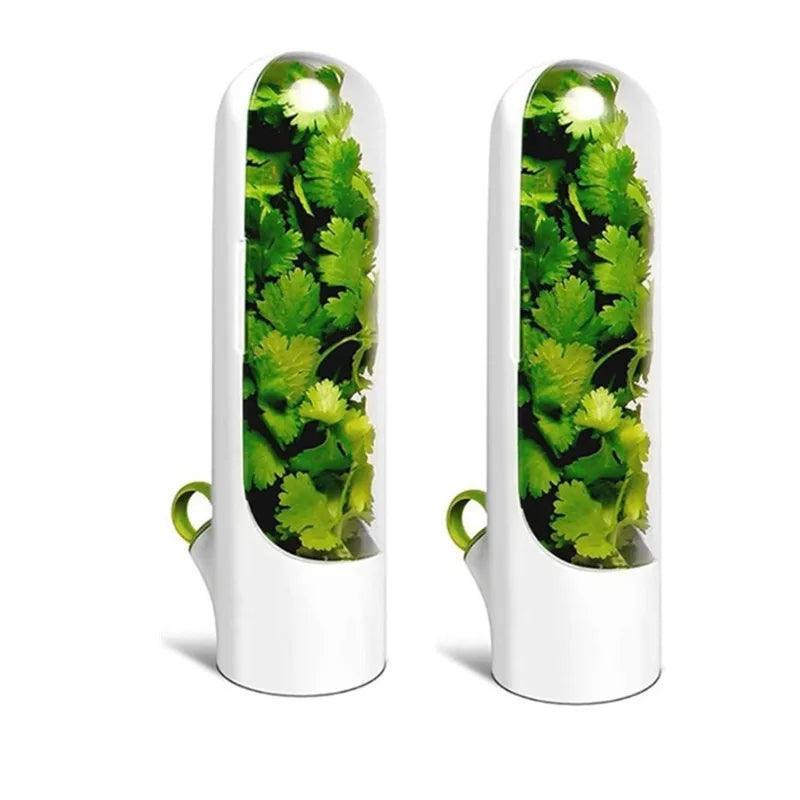 Botella Para Conservación De Verduras - Mooth Shop
