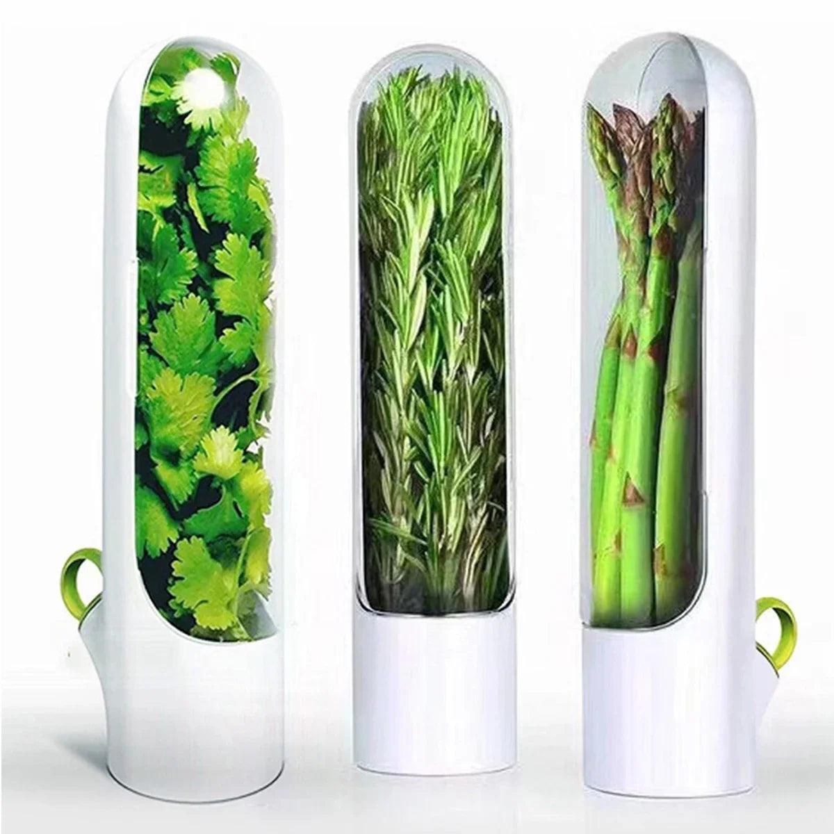 Botella Para Conservación De Verduras - Mooth Shop