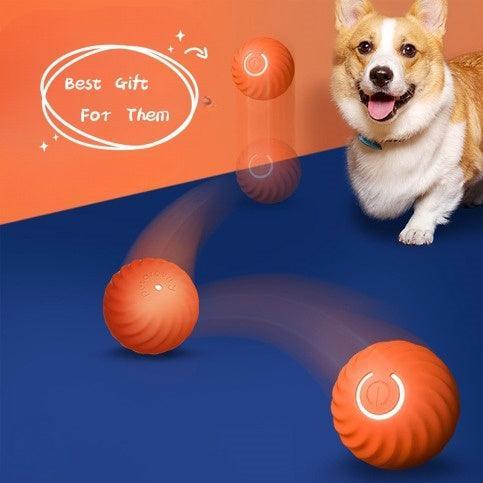 Pet Dog Rubber Ball Toys For Dogs - Mooth Shop