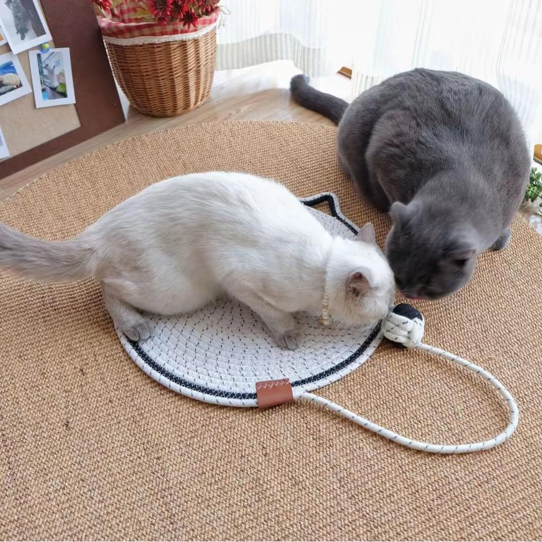 alfombrilla-autoadhesiva-antiaranazos-para-gatos.Moothshop.PNG02