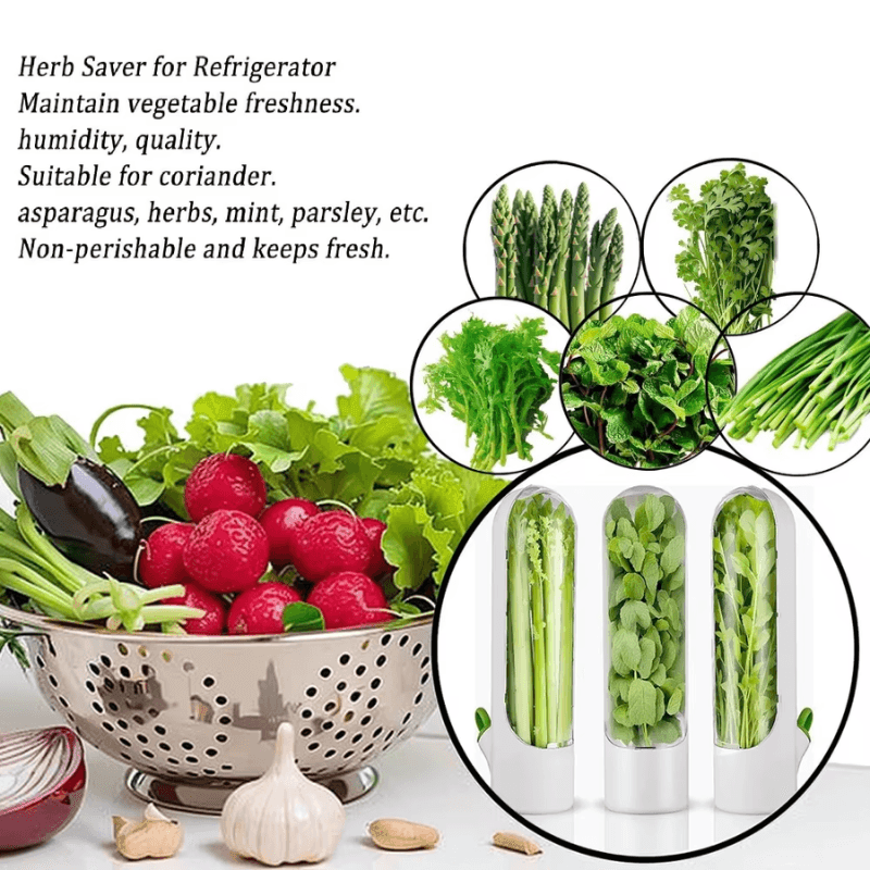 Botella Para Conservación De Verduras - Mooth Shop