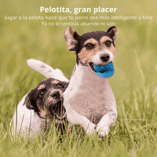 Pelota Interactiva Para Mascotas
