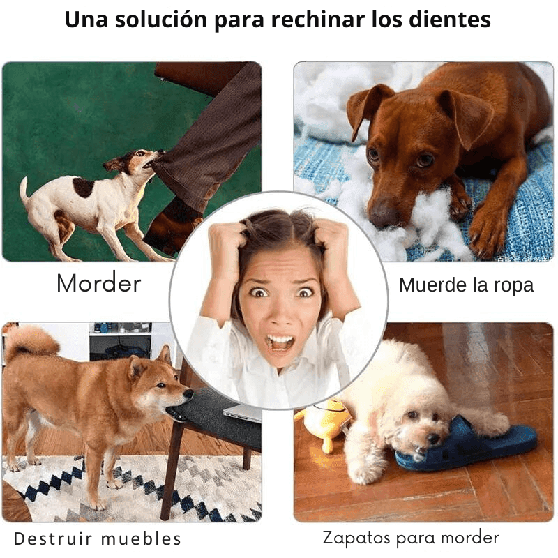 Pelota Interactiva Para Mascotas - Mooth Shop