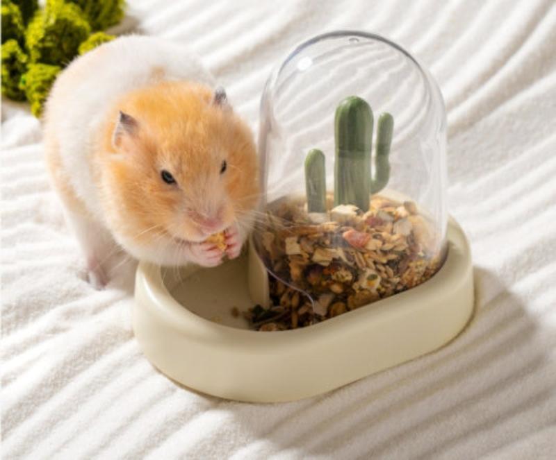Home Hamster Creative Cactus Automatic Feeder - Mooth Shop
