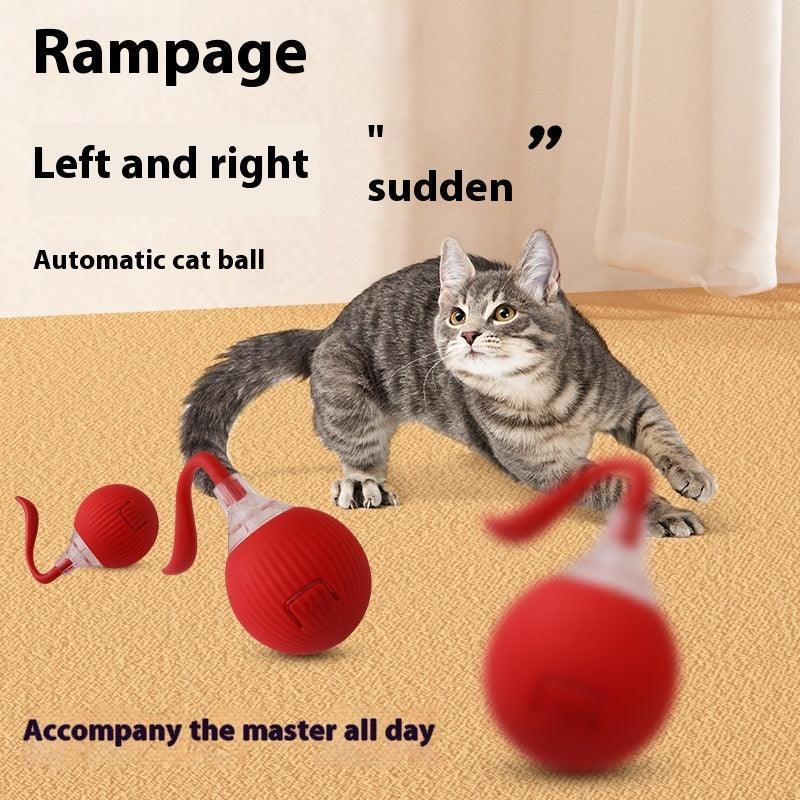 Interactive Cat Toy Ball Super Drive - Mooth Shop