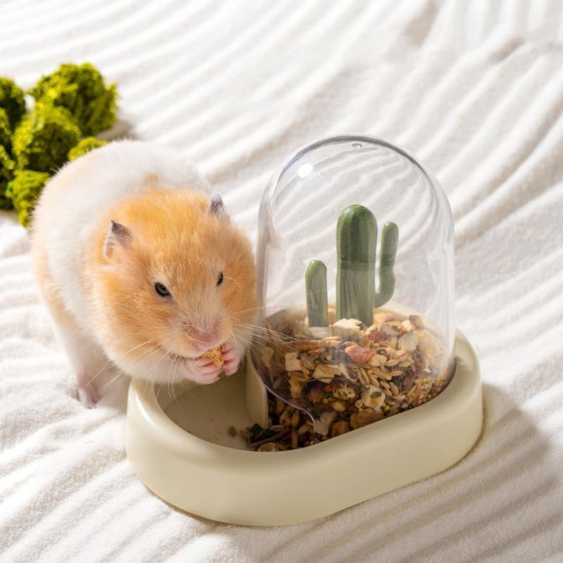 Home Hamster Creative Cactus Automatic Feeder - Mooth Shop