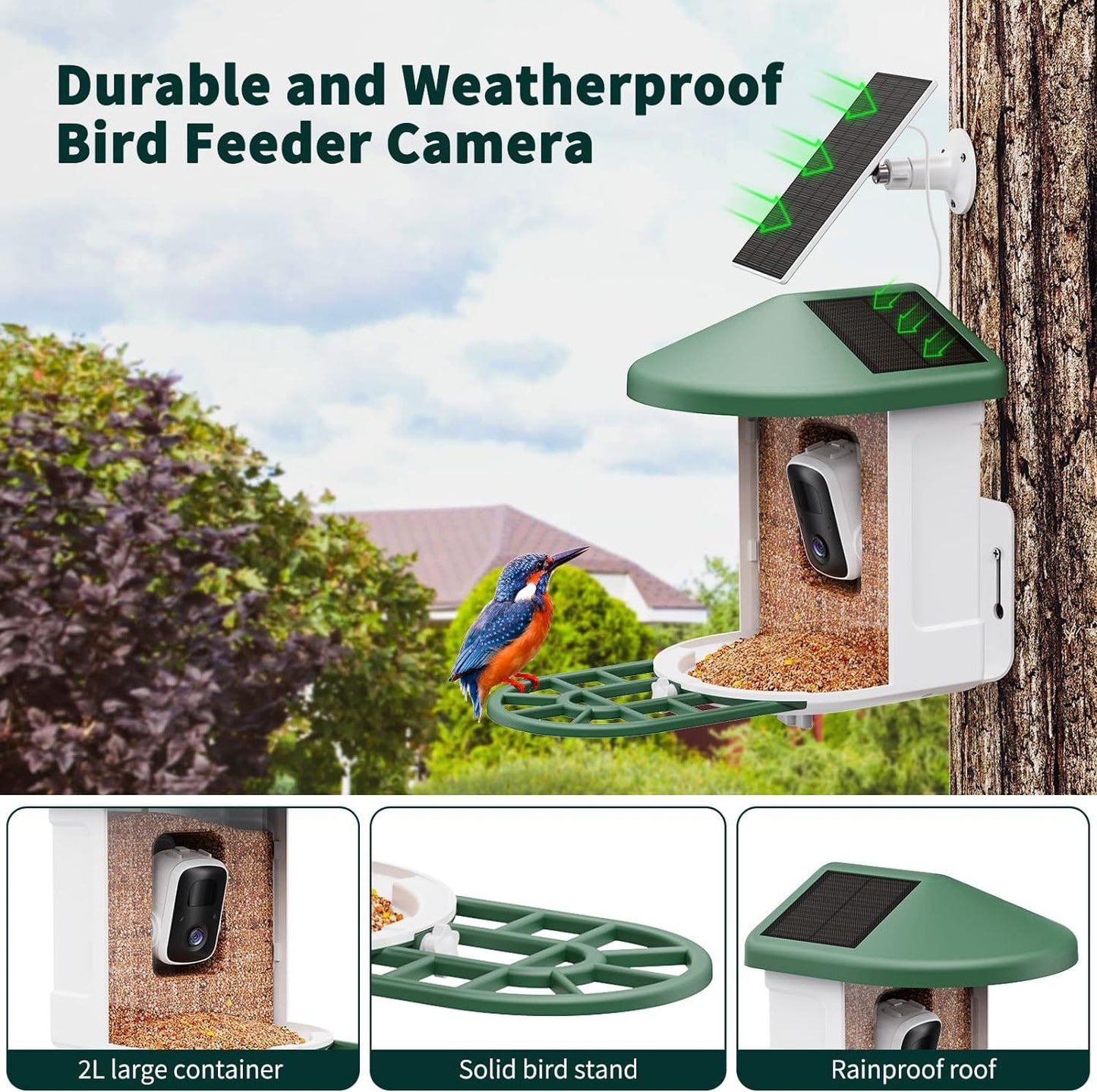 alimentador-inteligente-con-camara-de-vigilancia.Moothshop.JPG03