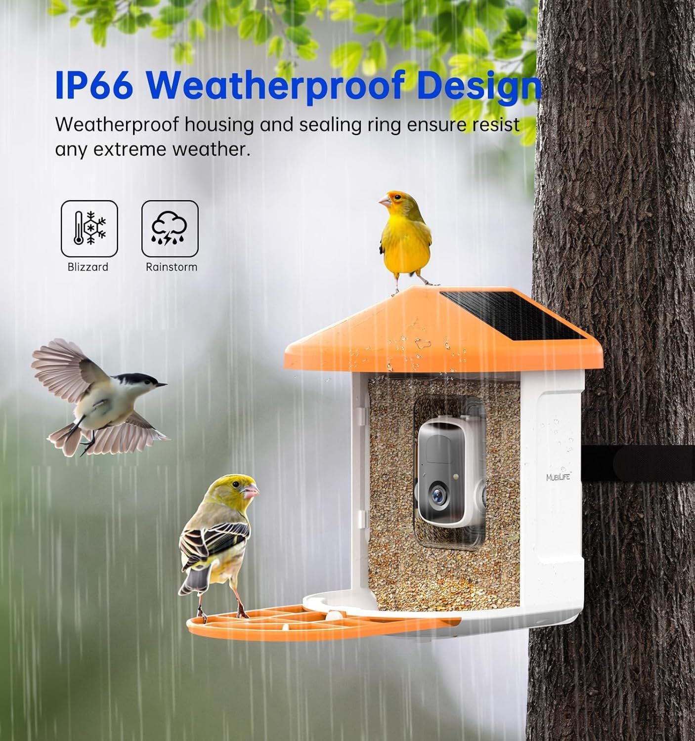 alimentador-inteligente-con-camara-de-vigilancia.Moothshop.JPG08
