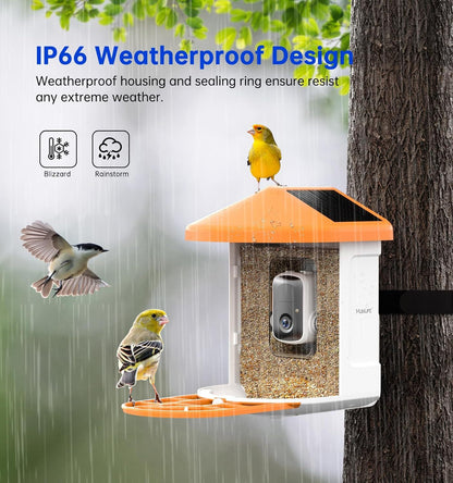 alimentador-inteligente-con-camara-de-vigilancia.Moothshop.JPG08