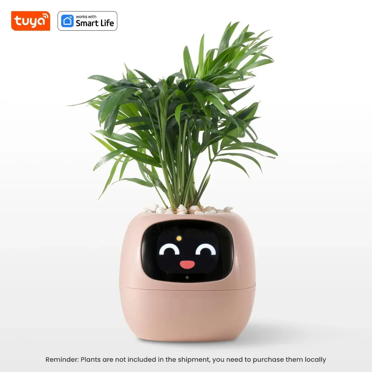 ‎TPHRAVAL Smart Planter con IA - Maceta Inteligente con 49 Expresiones-Mooth Shop