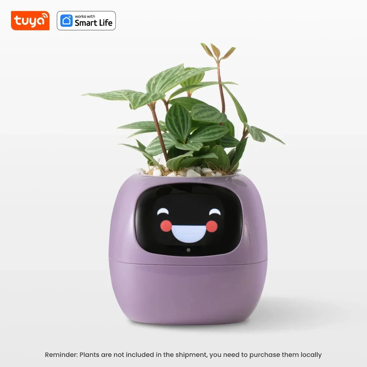 ‎TPHRAVAL Smart Planter con IA - Maceta Inteligente con 49 Expresiones-Mooth Shop