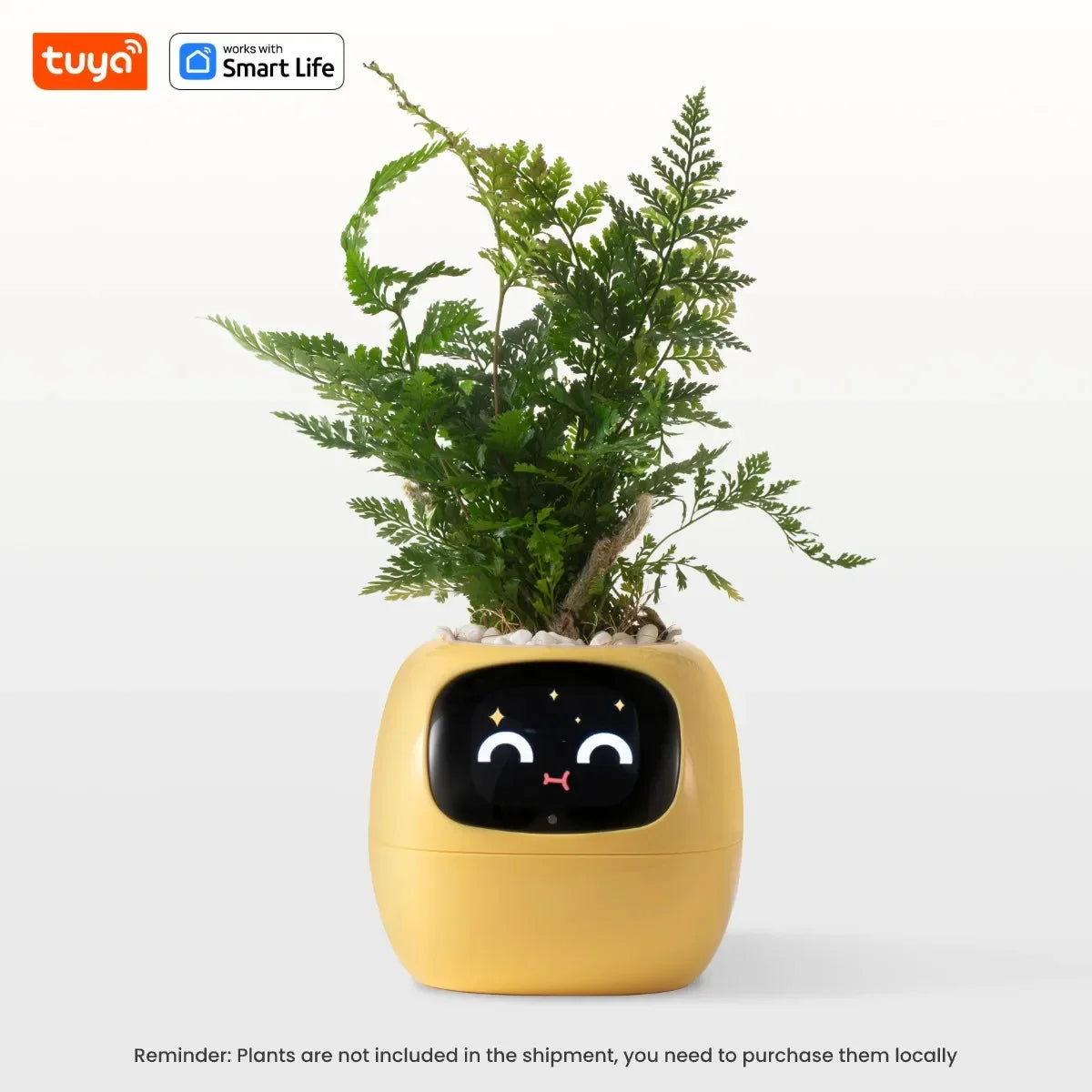 ‎TPHRAVAL Smart Planter con IA - Maceta Inteligente con 49 Expresiones-Mooth Shop