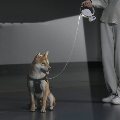 correa-para-perros-retractil-automatica.Moothshop.JPG2