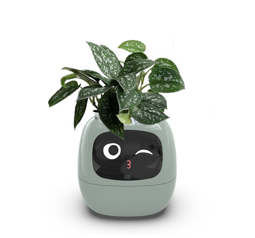 Smart Planter Expressions AI