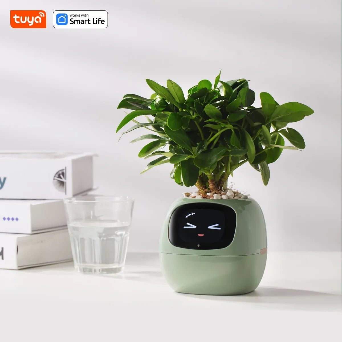Smart Planter Expressions AI