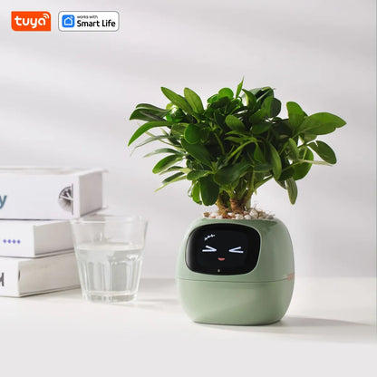 Smart Planter Expressions AI