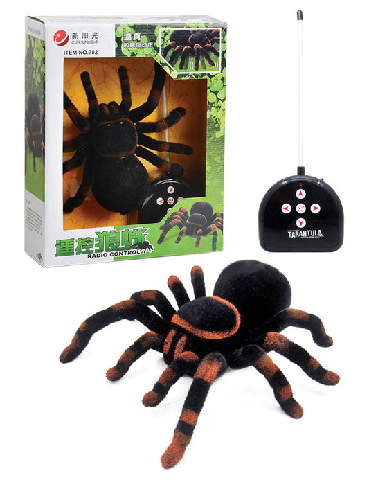 Kid Toys