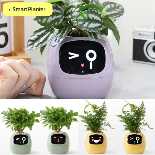 ‎TPHRAVAL Smart Planter con IA - Mooth Shop