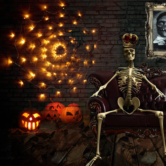 Halloween Led Spider Web String Light 5v Remote Co