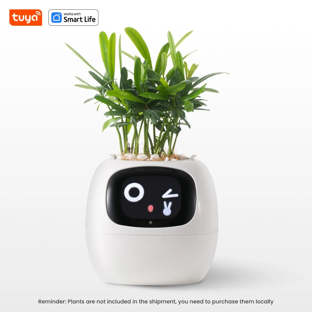 Smart Planter Expressions AI